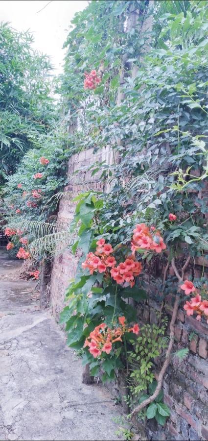 Family Homestay バヴィ エクステリア 写真